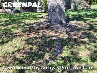 Lawn Mowing nearby Corpus Christi, TX, 