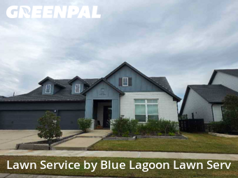 Lawn Servicein Cypress,77433,Lawn Care by Blue Lagoon Lawn Serv, work completed in Dec , 2025