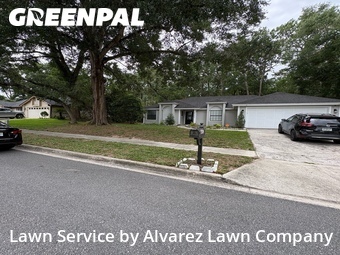 Grass Cuttingin Apopka,32712,Lawn Mowing Service by Alvarez Lawn Company, work completed in Jun , 2026