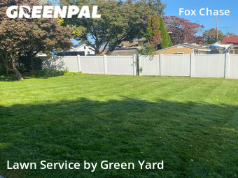 Grass Cut nearby Philadelphia, PA, 