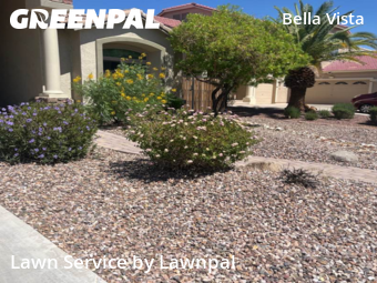 Backyard Landscaping In Gilbert,85295,Landscaping Cleanup by Lawnpal, work completed in Nov , 2025