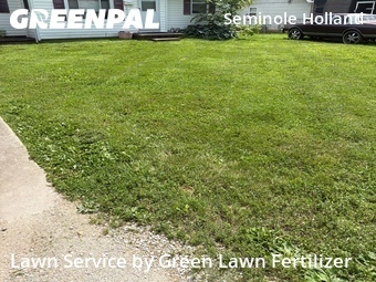 Grass Cutting nearby Springfield, MO, 