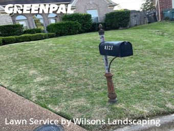Grass Cutting nearby Memphis, TN, 
