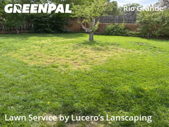 Lawn Mowing Service nearby Los Ranchos De Albuquerque, NM, 