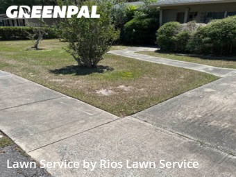 Grass Cut nearby Altamonte Springs, FL, 