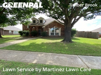 Lawn Mow nearby Plano, TX, 