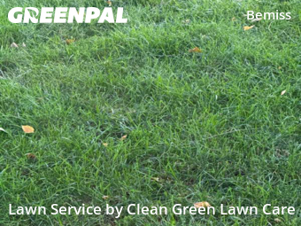 Lawn Care nearby Spokane, WA, 