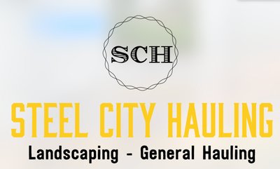 Local Lawn care service near me in Munhall, PA, 15120