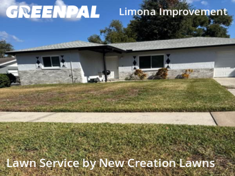 Lawn Maintenance in Brandon, 33510, Grass Care by New Creation Lawns, work completed in Dec , 2025