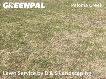 Lawn Care nearby Little Elm, TX, 