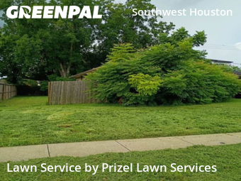 Lawn Maintenancein Bellaire,77401,Lawn Mow by Prizel Lawn Services, work completed in Nov , 2025