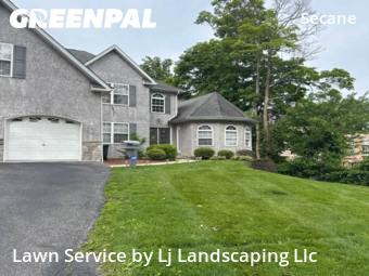 Turf Services in Upper Darby, 19018, Grass Cutting by Lj Landscaping Llc, work completed in Oct , 2025