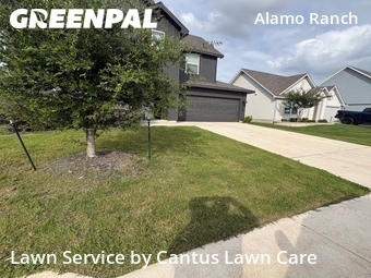 Lawn Mowing Servicein San Antonio,78253,Lawn Cutting by Cantus Lawn Care , work completed in Jun , 2026