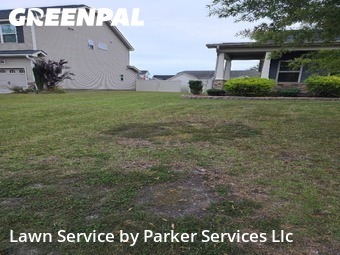 Grass Care in Greenville, 27834, Turf Services by Parker Services Llc, work completed in Nov , 2025
