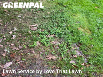 Lawn Mow nearby Jeffersontown, KY, 