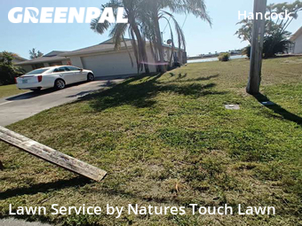 Grass Cutting nearby Cape Coral, FL, 