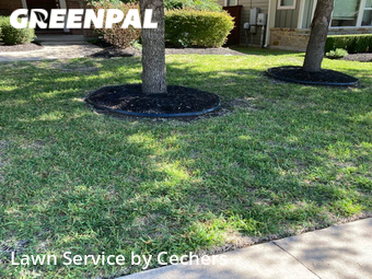 Lawn Mowing nearby Austin, TX, 