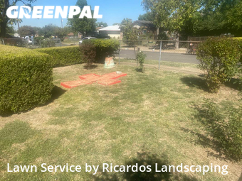 Grass Cutting nearby Dallas, TX, 