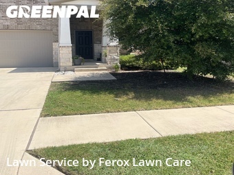 Grass Cut nearby Leander, TX, 