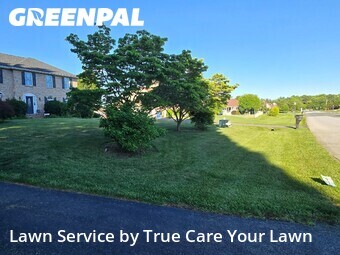 Yard Cutting nearby Bear, DE, 