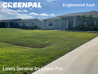 Lawn Care Servicein Englewood,34224,Lawn Cut by Lawn Pro, work completed in Nov , 2025