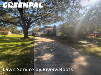 Backyard Landscaping In Orlando,32809,Landscaping Services by Rivera Roots, work completed in Dec , 2025