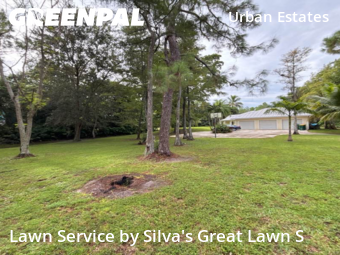 Yard Work in Naples, 34119, Lawn Care by Silva's Great Lawn S, work completed in Nov , 2025