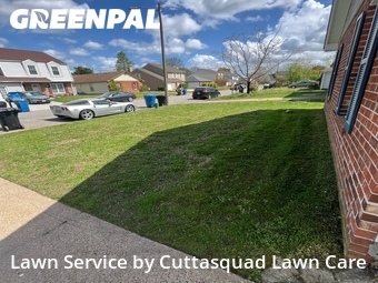 Lawn Care nearby Virginia Beach, VA, 
