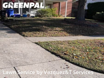 Grass Cut nearby Silver Spring, MD, 