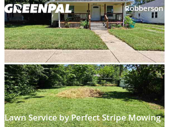 Lawn Cut nearby Springfield, MO, 