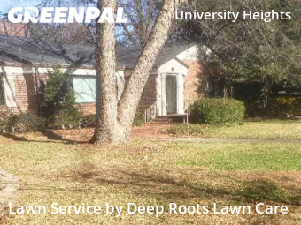 Lawn Mowing nearby Springfield, MO, 