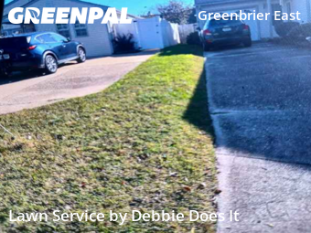 Yard Cutting in Chesapeake, 23320, Lawn Upkeep by Debbie Does It, work completed in Nov , 2025