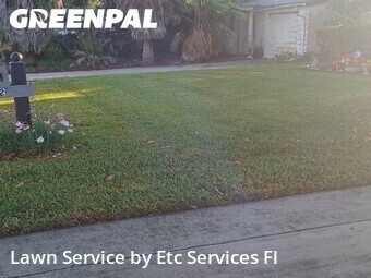 Grass Cutting nearby Holiday, FL, 