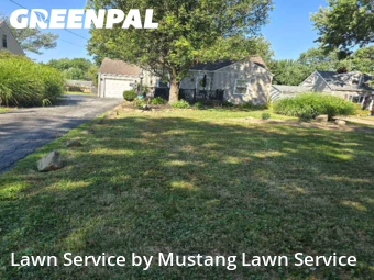 Grass Care in Boardman, 44512, Weekly Mowing by Mustang Lawn Service, work completed in Nov , 2025