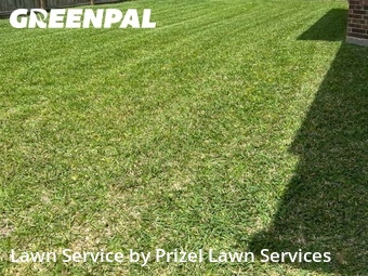 Yard Cuttingin League City,77573,Grass Cut by Prizel Lawn Services, work completed in Jun , 2026