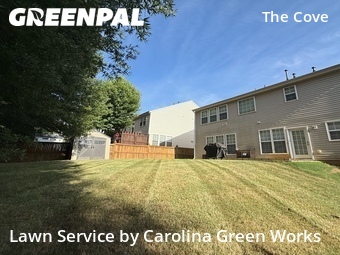 Lawn Care nearby Raleigh, NC, 
