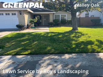 reliable-lawn-care-service-in-Ceres-CA