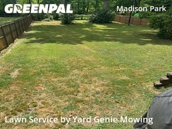Grass Cut nearby Charlotte, NC, 