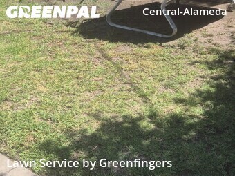 Lawn Cut nearby Los Angeles, CA, 