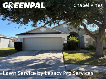 Lawn Care Service nearby Wesley Chapel, FL, 