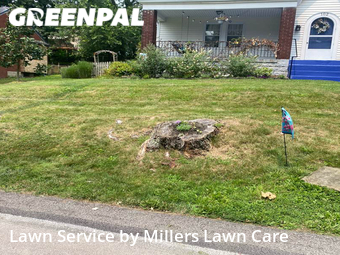 Lawn Cutting nearby Pittsburgh, PA, 