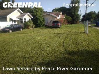Grass Cut nearby Lakeland, FL, 