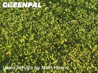 Lawn Service nearby Margate, FL, 