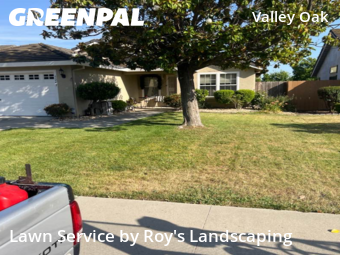 Yard Mowing nearby Stockton, CA, 