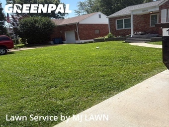 Grass Cutting nearby Affton, MO, 