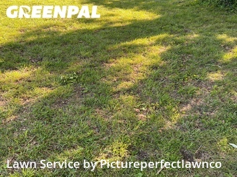 Lawn Mow nearby Webster Groves, MO, 