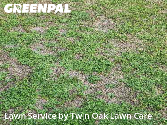 Lawn Mowing Service nearby Orange Park, FL, 