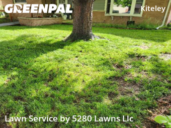 Grass Cut nearby Longmont, CO, 