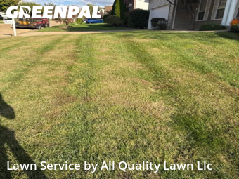 Yard Mowing nearby St. Peters, MO, 