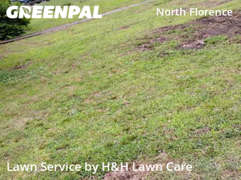 Grass Cutting nearby Florence, AL, 